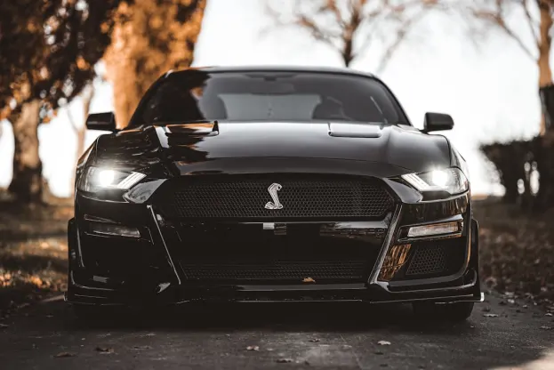 Pure Kasino Apl Android/iOS